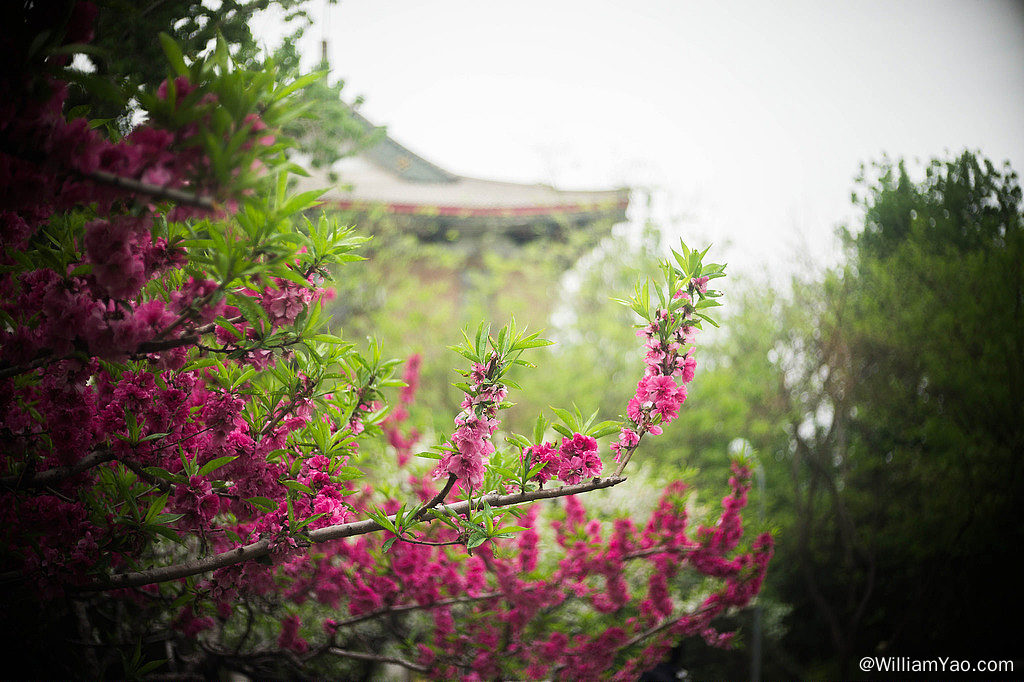 角度和构图，下45度也很美