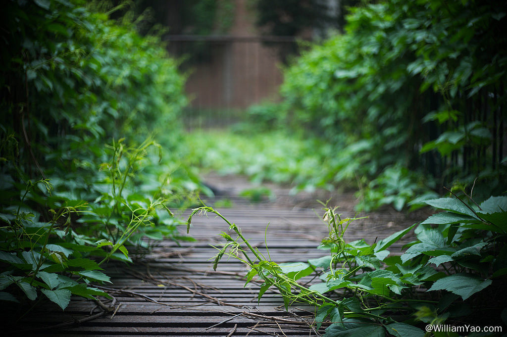 用尽一生只为牵住你的手